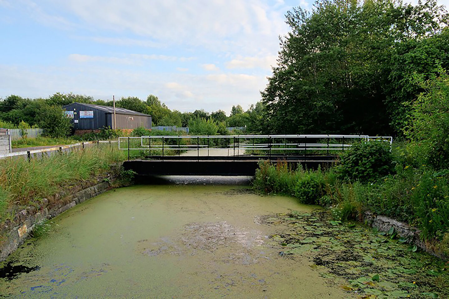 Sankey Bridge 5